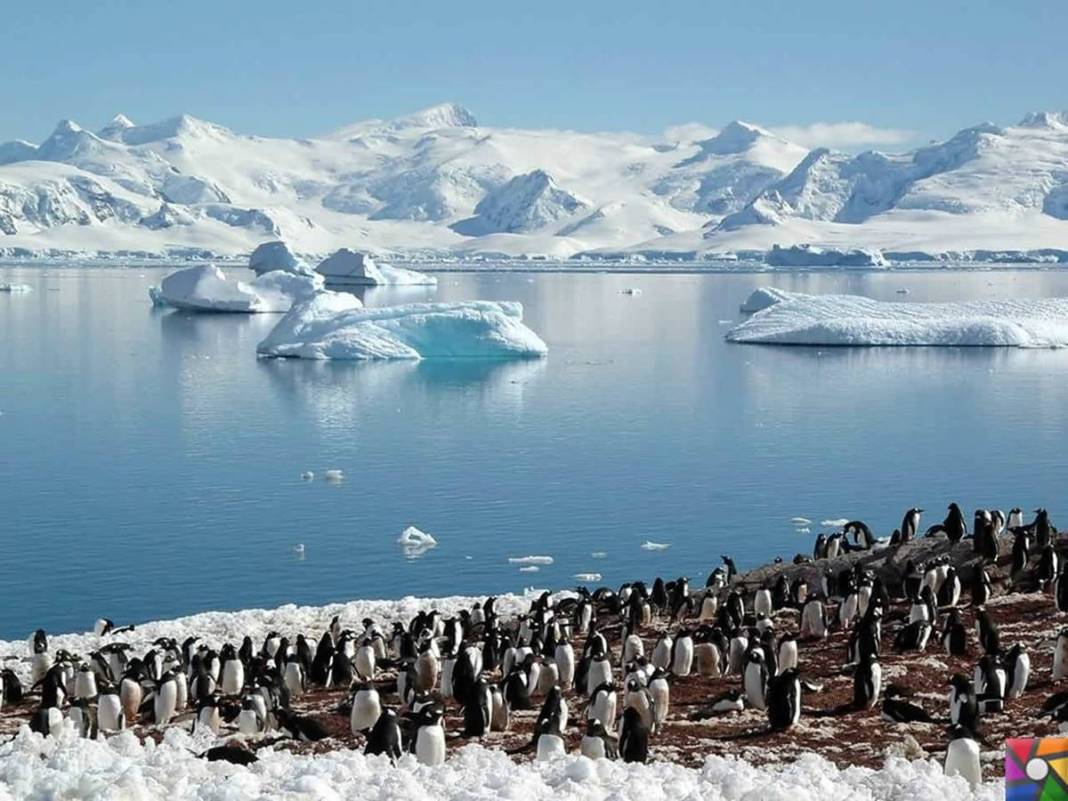 Dünyanın sonu yaklaşıyor: Son çekilen fotoğraf, bilim insanlarını bile korkuttu! Herkes hazırlığını yapsın 11